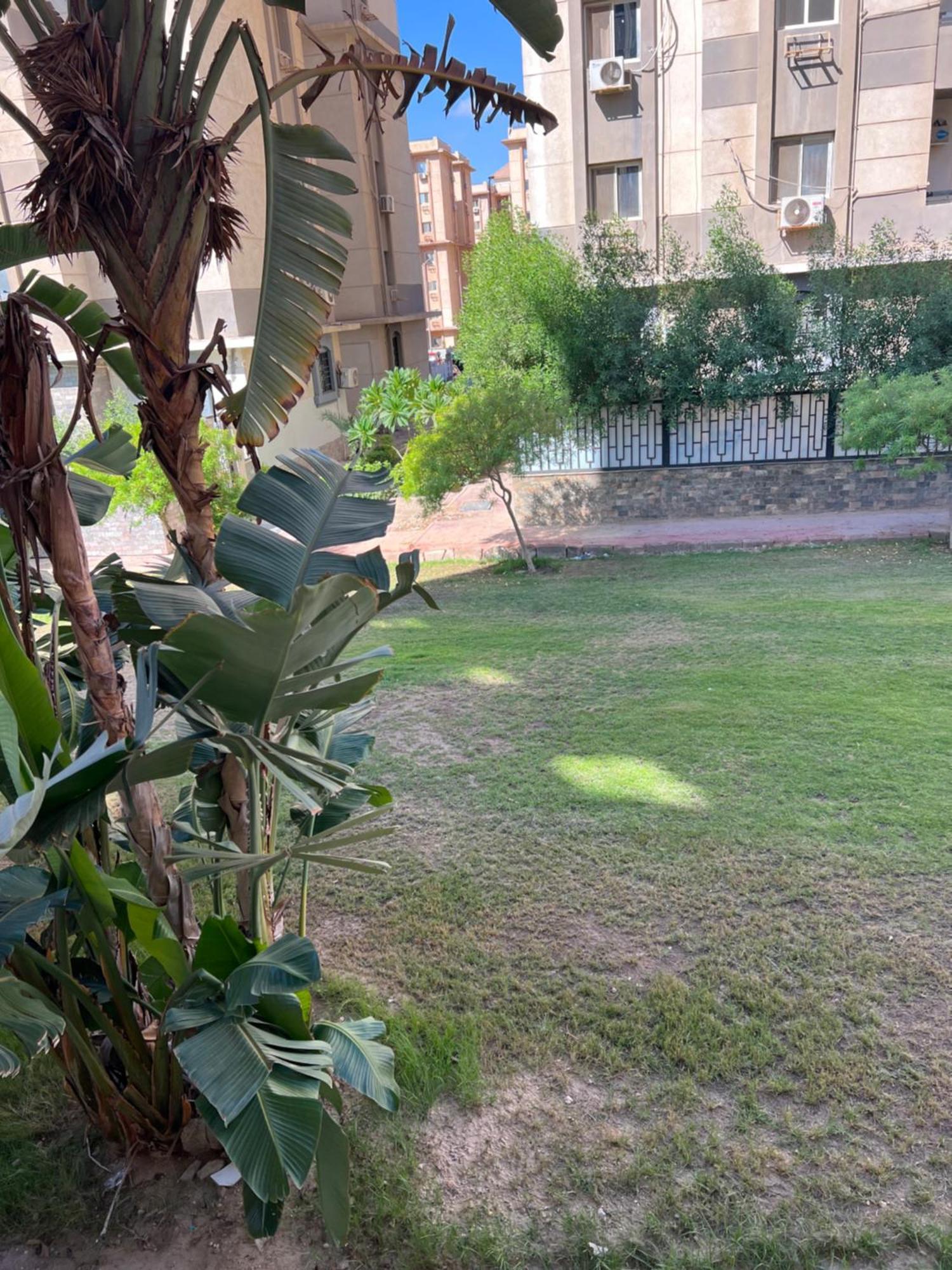 Apartman Gardenia - 35342 Kairó